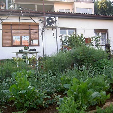 Apartman Thea Opatija Exterior photo