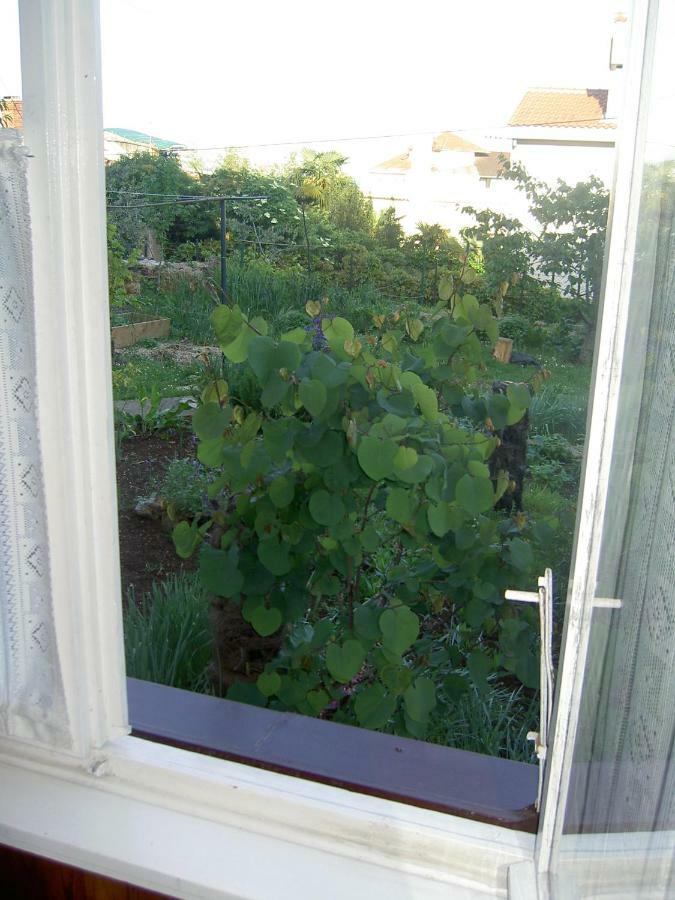 Apartman Thea Opatija Exterior photo
