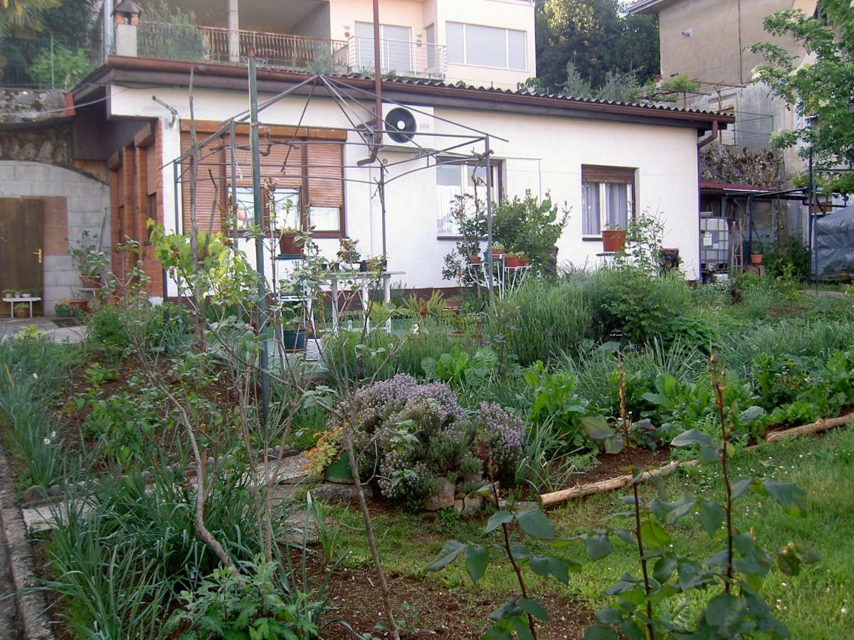 Apartman Thea Opatija Exterior photo